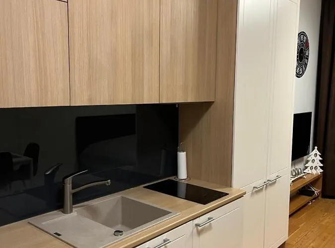 Mere Puiestee Apartment *